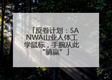 反卷计划：SANWA山业人体工学鼠标，手腕从此“躺赢”
