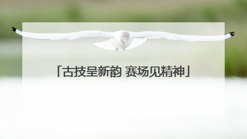 古技呈新韵 赛场见精神