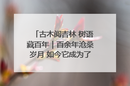 古木阅吉林 树语藏百年｜百余年沧桑岁月 如今它成为了“镇园之宝”