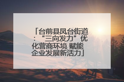 台前县凤台街道：“三向发力”优化营商环境 赋能企业发展新活力