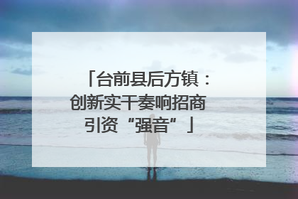 台前县后方镇：创新实干奏响招商引资“强音”