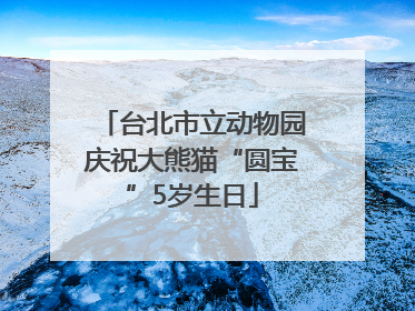 台北市立动物园庆祝大熊猫“圆宝”5岁生日