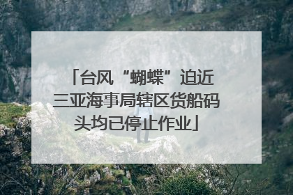台风“蝴蝶”迫近 三亚海事局辖区货船码头均已停止作业