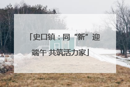 史口镇：同“新”迎端午 共筑活力家