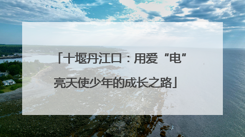 十堰丹江口：用爱“电”亮天使少年的成长之路