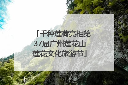 千种莲荷亮相第37届广州莲花山莲花文化旅游节