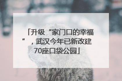 升级“家门口的幸福”，武汉今年已新改建70座口袋公园