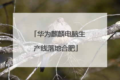 华为麒麟电脑生产线落地合肥