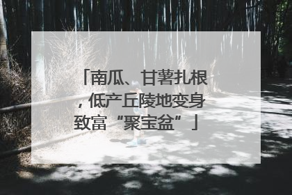南瓜、甘薯扎根，低产丘陵地变身致富“聚宝盆”