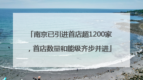 南京已引进首店超1200家，首店数量和能级齐步并进