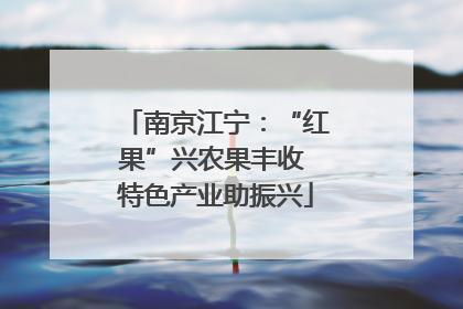南京江宁：“红果”兴农果丰收 特色产业助振兴