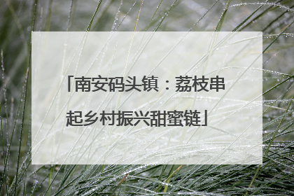 南安码头镇：荔枝串起乡村振兴甜蜜链