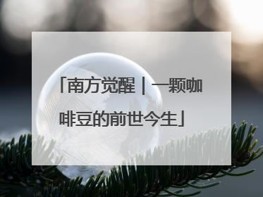 南方觉醒｜一颗咖啡豆的前世今生