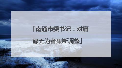 南通市委书记：对庸碌无为者果断调整