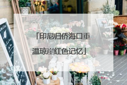 印尼归侨海口重温琼崖红色记忆