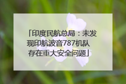 印度民航总局：未发现印航波音787机队存在重大安全问题