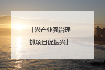 兴产业强治理 抓项目促振兴