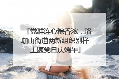 党群连心粽香浓，珞珈山街道两新组织别样主题党日庆端午