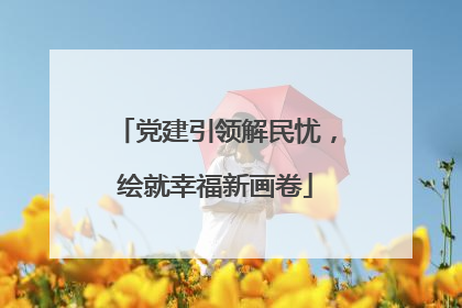 党建引领解民忧，绘就幸福新画卷