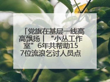 党旗在基层一线高高飘扬丨“小丛工作室”6年共帮助157位流浪乞讨人员点亮回家的灯