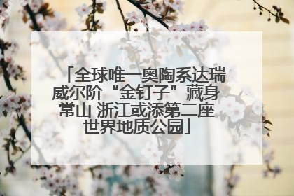 全球唯一奥陶系达瑞威尔阶“金钉子”藏身常山 浙江或添第二座世界地质公园