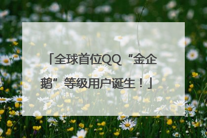 全球首位QQ“金企鹅”等级用户诞生！