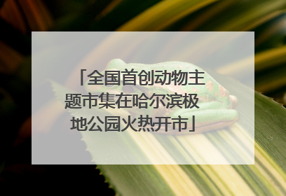 全国首创动物主题市集在哈尔滨极地公园火热开市