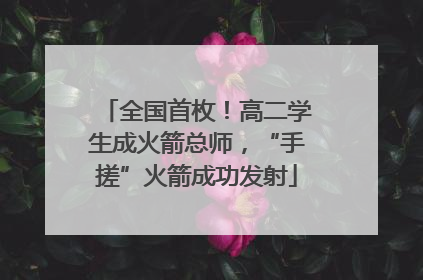 全国首枚！高二学生成火箭总师，“手搓”火箭成功发射