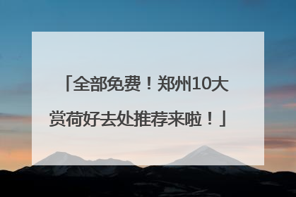 全部免费！郑州10大赏荷好去处推荐来啦！