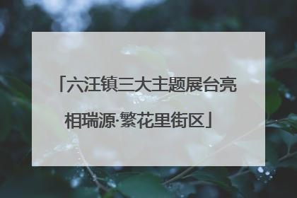 六汪镇三大主题展台亮相瑞源·繁花里街区