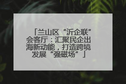 兰山区“沂企联”会客厅：汇聚民企出海新动能，打造跨境发展“强磁场”