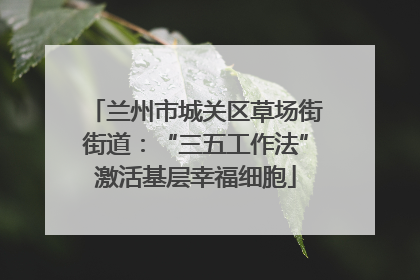 兰州市城关区草场街街道：“三五工作法”激活基层幸福细胞