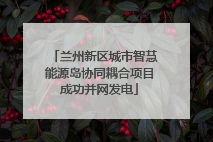 兰州新区城市智慧能源岛协同耦合项目成功并网发电