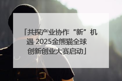 共探产业协作“新”机遇 2025金熊猫全球创新创业大赛启动
