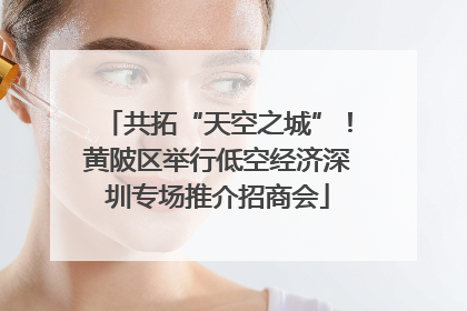 共拓“天空之城”！黄陂区举行低空经济深圳专场推介招商会