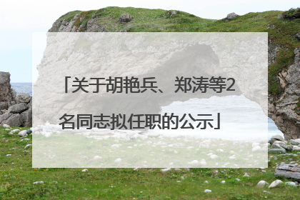 关于胡艳兵、郑涛等2名同志拟任职的公示