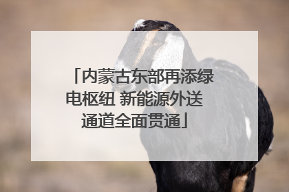 内蒙古东部再添绿电枢纽 新能源外送通道全面贯通