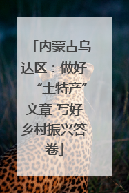 内蒙古乌达区：做好“土特产”文章 写好乡村振兴答卷