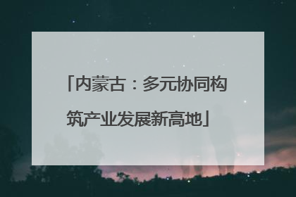 内蒙古：多元协同构筑产业发展新高地