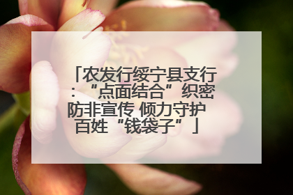 农发行绥宁县支行：“点面结合”织密防非宣传 倾力守护百姓“钱袋子”