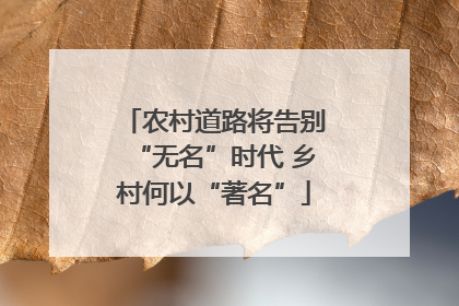 农村道路将告别“无名”时代 乡村何以“著名”