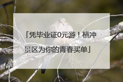 凭毕业证0元游！横冲景区为你的青春买单
