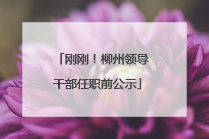 刚刚！柳州领导干部任职前公示