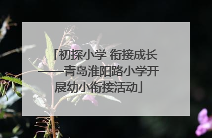 初探小学 衔接成长——青岛淮阳路小学开展幼小衔接活动