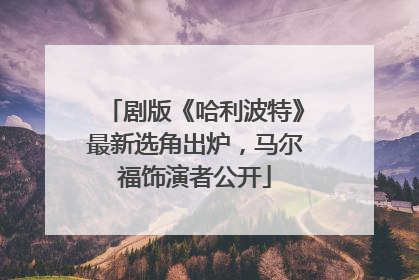 剧版《哈利波特》最新选角出炉，马尔福饰演者公开