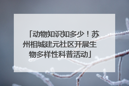 动物知识知多少！苏州相城建元社区开展生物多样性科普活动