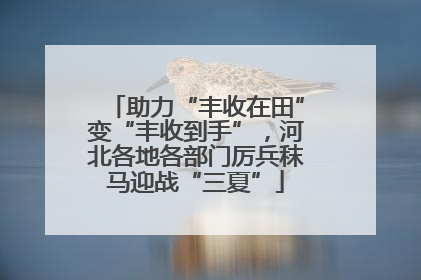 助力“丰收在田”变“丰收到手”，河北各地各部门厉兵秣马迎战“三夏”