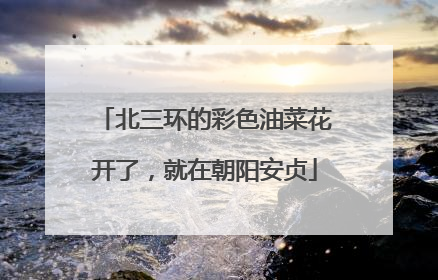 北三环的彩色油菜花开了，就在朝阳安贞