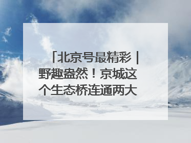 北京号最精彩｜野趣盎然！京城这个生态桥连通两大网红公园