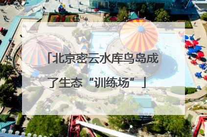 北京密云水库鸟岛成了生态“训练场”